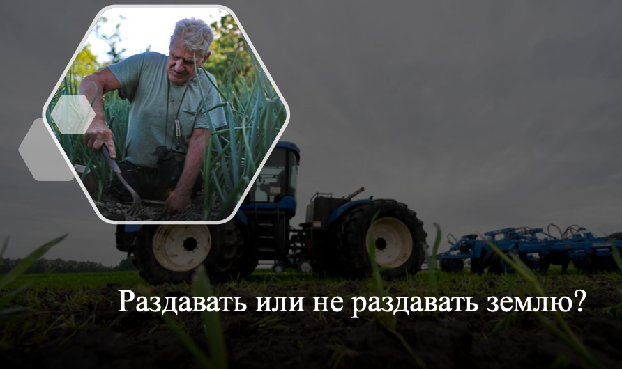 Директор по аграрной политике НИУ ВШЭ Евгения Серова - о целесообразности раздачи земли под личные подсобные хозяйства