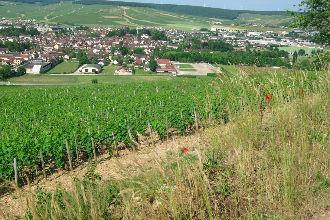 Burgundy, France