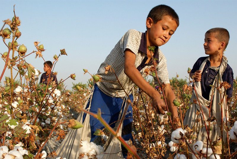 Иллюстрация к новости: “Детский труд в сельском хозяйстве Восточной Европы и Центральной Азии” - новая статья экспертов ИнАгИс