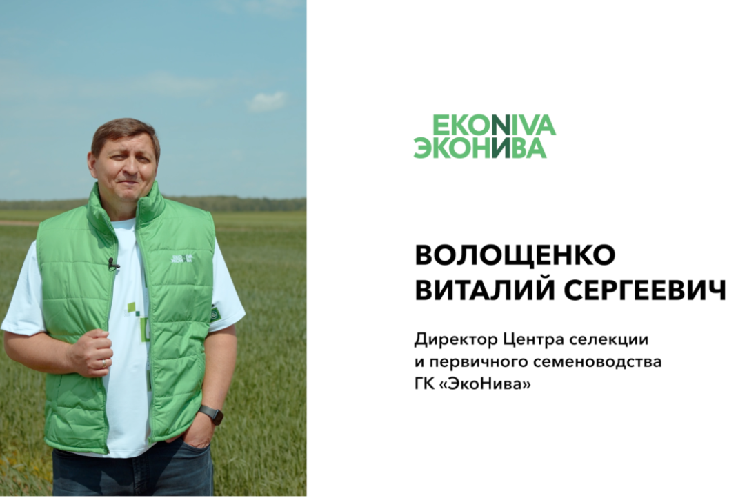 Иллюстрация к новости: «Вы знаете, как современные технологии влияют на растениеводство?» — Виталий Волощенко, директор Центра селекции и первичного семеноводства ГК «ЭкоНива»